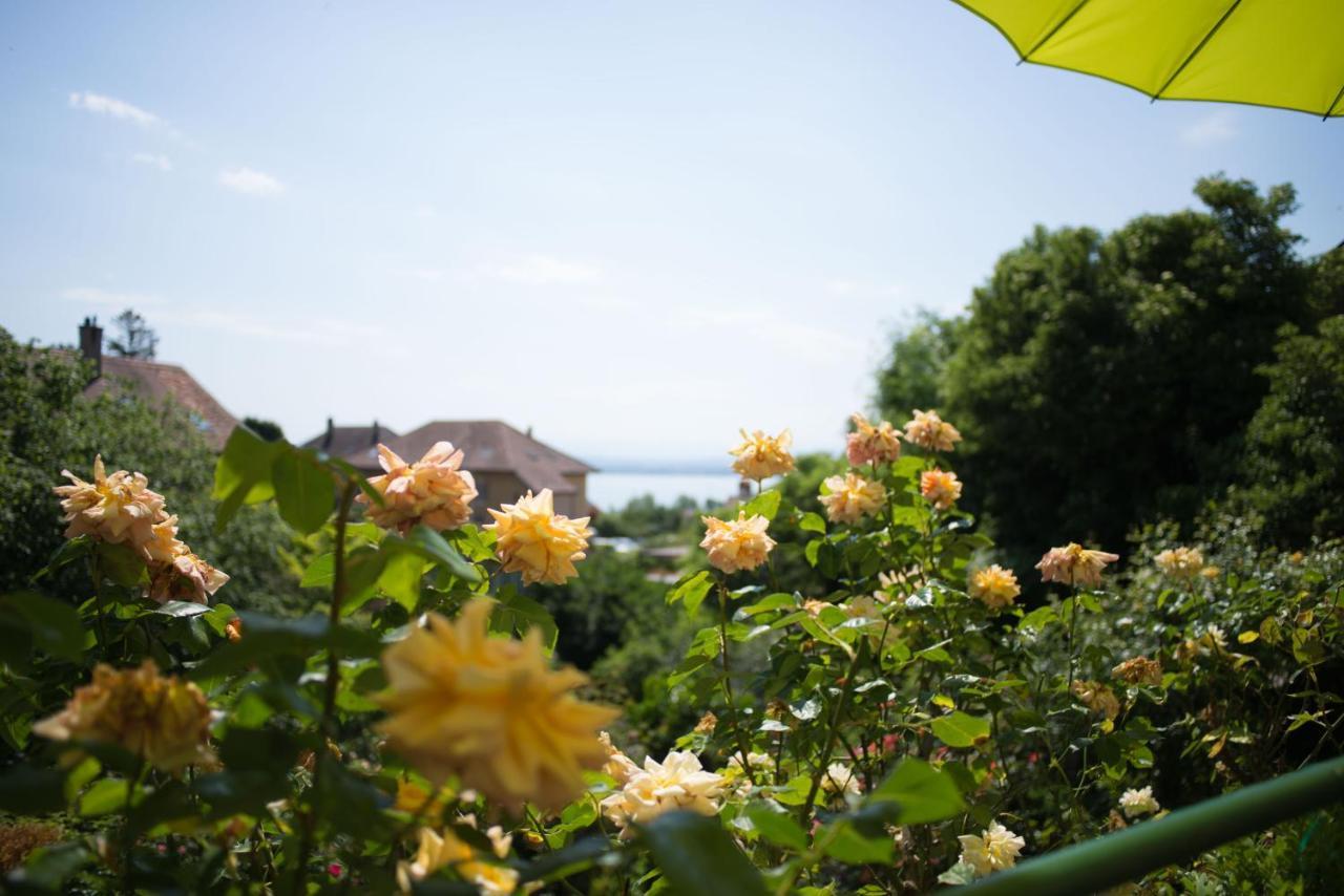 Hotel De La Beroche Saint-Aubin-Sauges エクステリア 写真